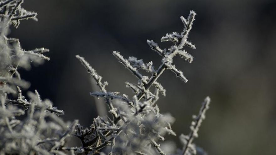 La calma helada que deja ‘Filomena’ en Andalucía: remite el frío extremo a la espera de las próximas lluvias
