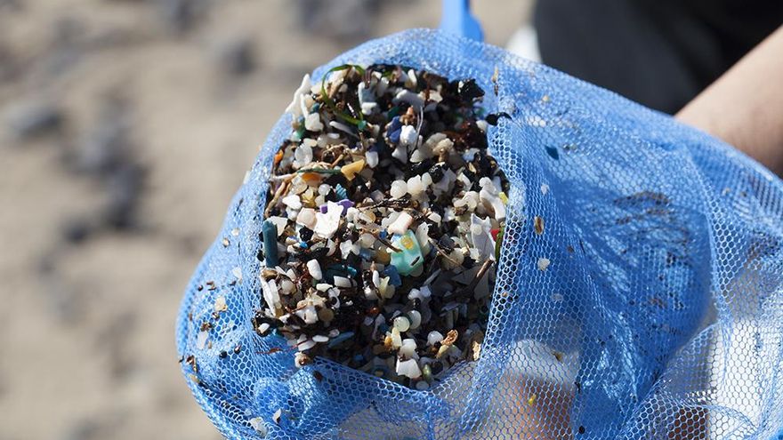 La ULPGC alerta de que la contaminación por plásticos es una de las mayores amenazas para los ecosistemas marinos