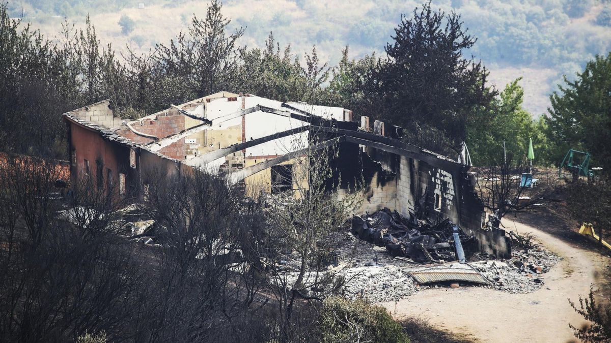 Así son las ayudas y medidas urgentes de la Junta de Castilla y León para los afectados por los incendios de 2025