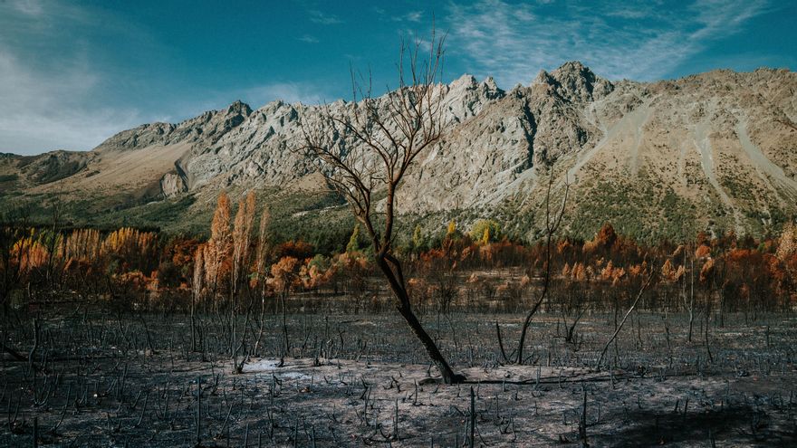 Restos del incendio en Las Golondrinas, Chubut