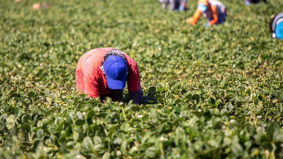La precariedad laboral afecta de manera especial a trabajadores migrantes