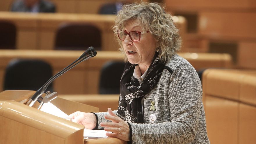 La portavoz del Grupo Parlamentario ERC-EH Bildu en el Senado, Mirella Cortès i Gès.