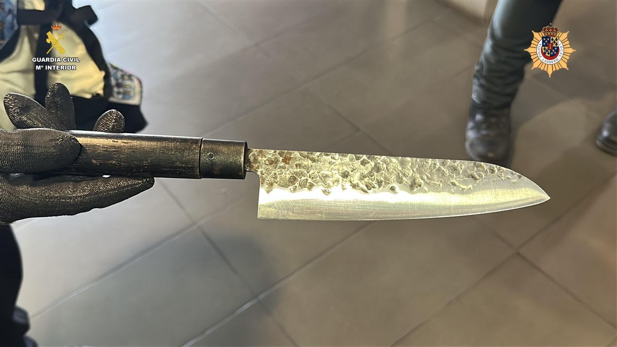 Cuchillo que portaba la detenida