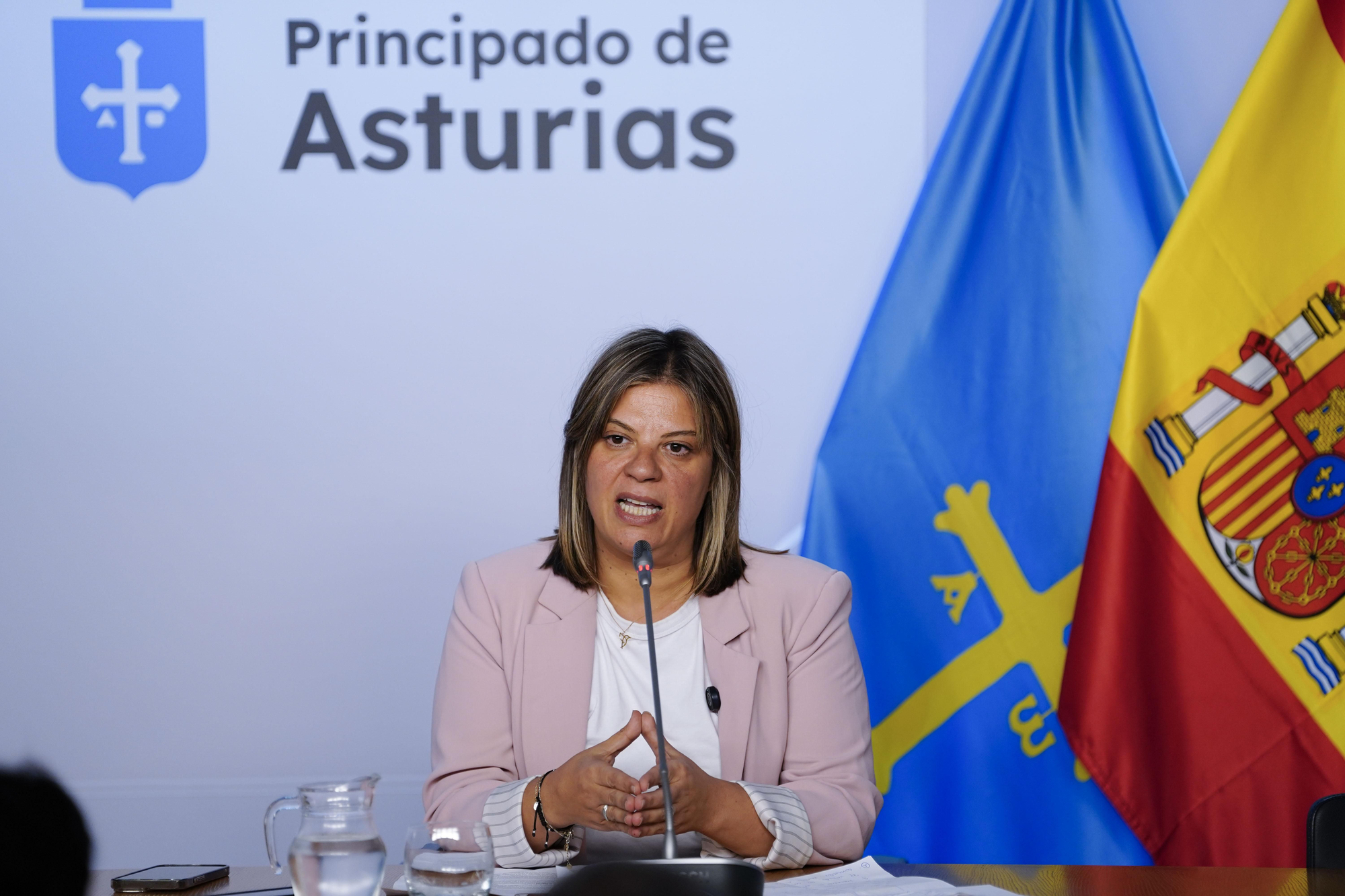La vicepresidenta del Principado de Asturias, Gimena Llamedo durante la rueda de prensa tras la reunión del Consejo de Gobierno celebrado este lunes en Oviedo/Uviéu.