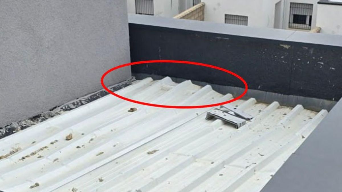 El grito de familias vulnerables de Extremadura al consejero en el pleno: "¡Que nos entregue las viviendas ya, coño!