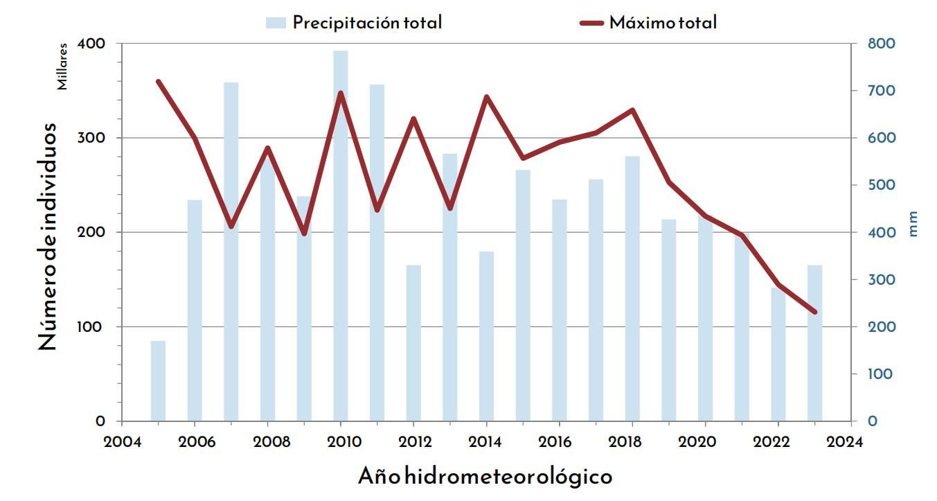 Abundancia de aves y variación en la precipitación anual entre 2005 y 2023.