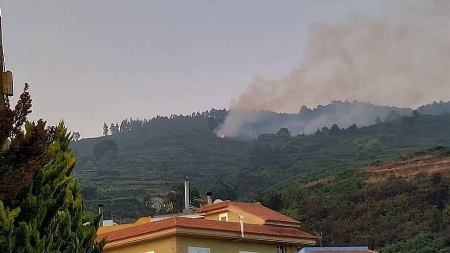 El conato de incendio declarado en el municipio tinerfeño de Los Realejos afecta a cuatro hectáreas