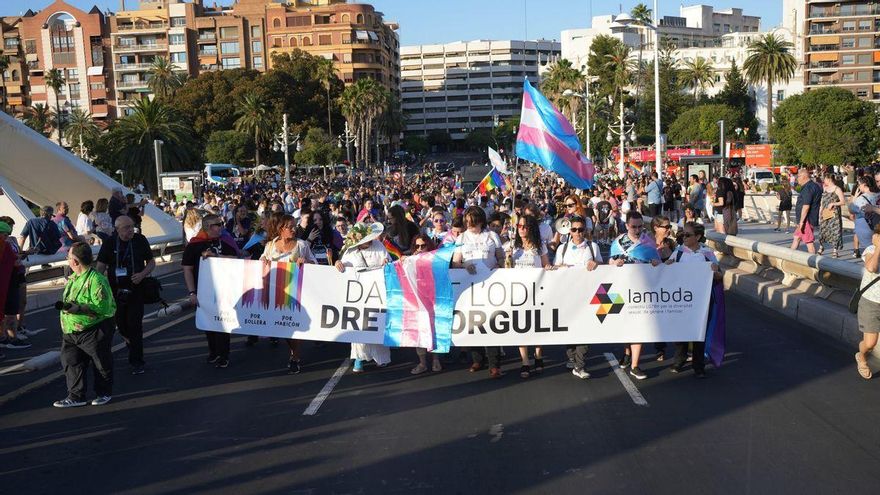 Pancarta trans en una manifestación del Orgullo.