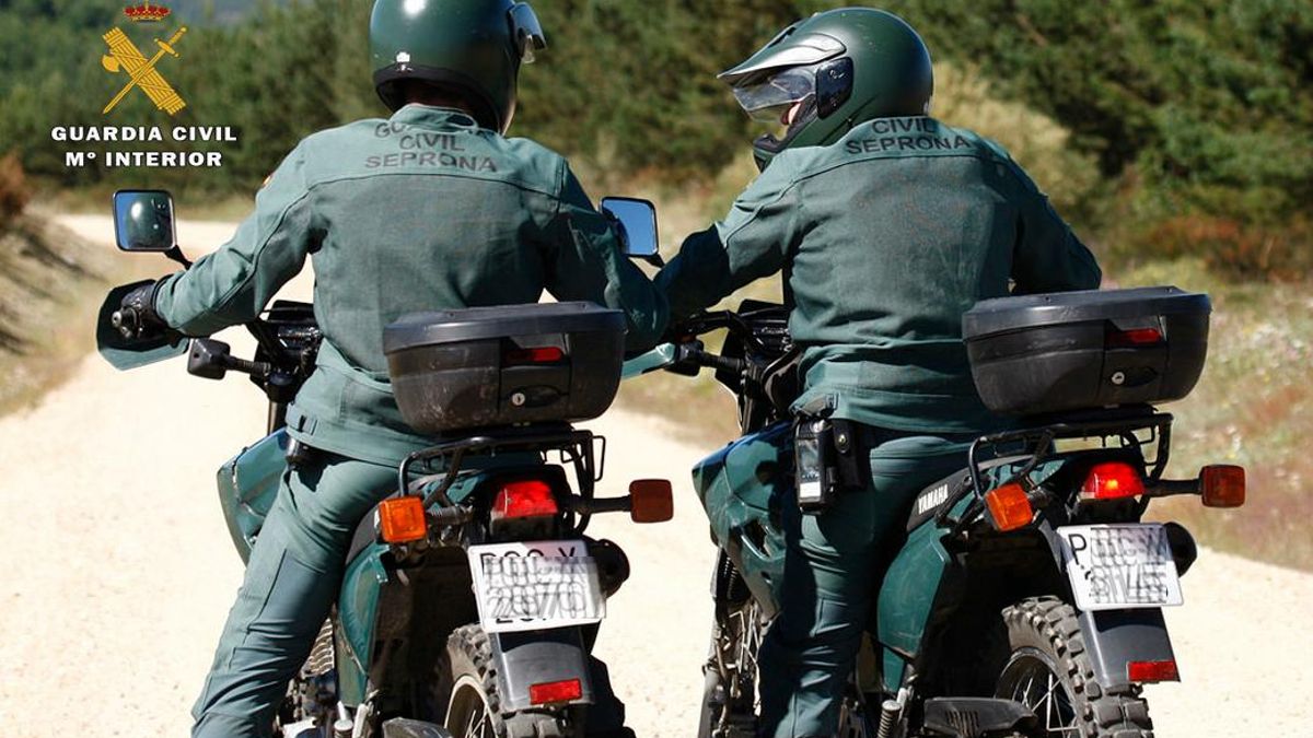 La Guardia Civil detiene a un hombre por tener más de 30 animales abandonados en una finca en Gran Canaria