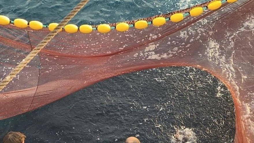 Pesca de bonito.