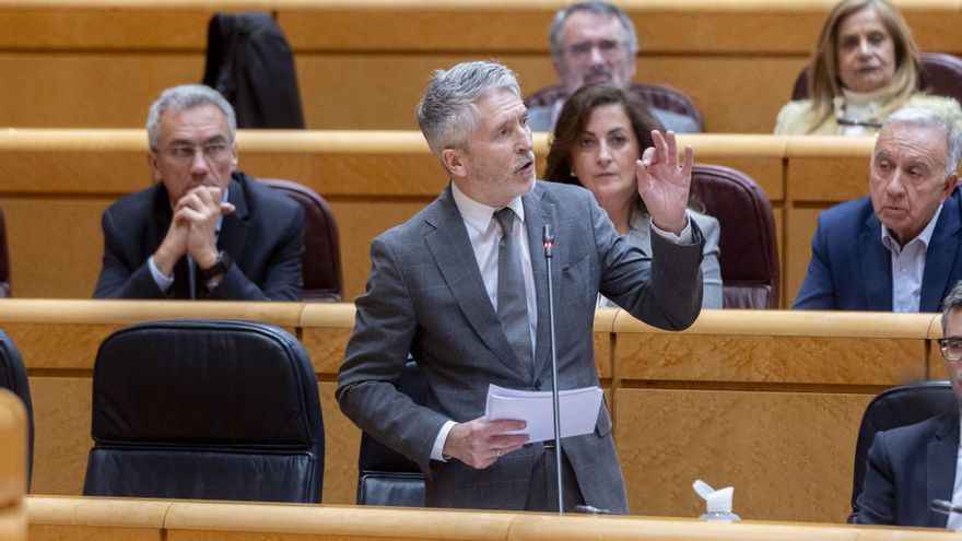 El ministro del Interior, Fernando Grande-Marlaska, interviene durante una sesión de control en el Senado, a 8 de abril de 2025, en Madrid (España).