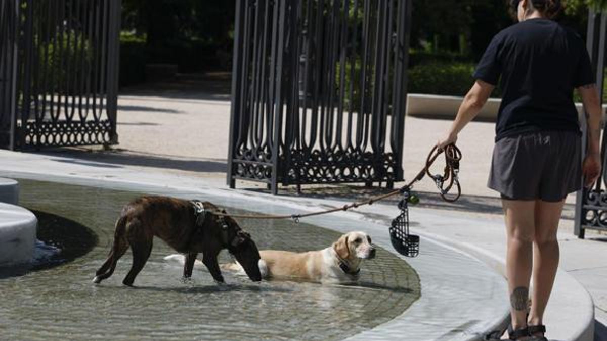 Las temperaturas vuelven a subir en Madrid este fin de semana: más de 36 grados este sábado y domingo