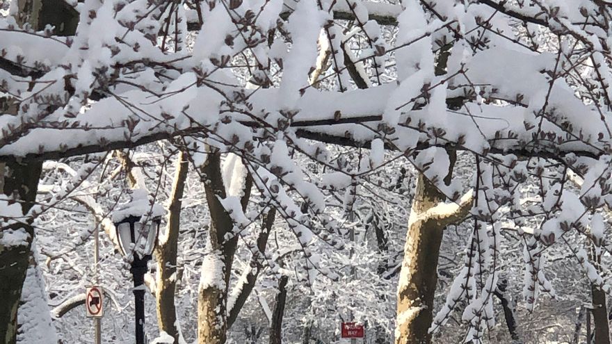 Dime cuánto andas y te diré cómo de transitable es el lugar donde vives