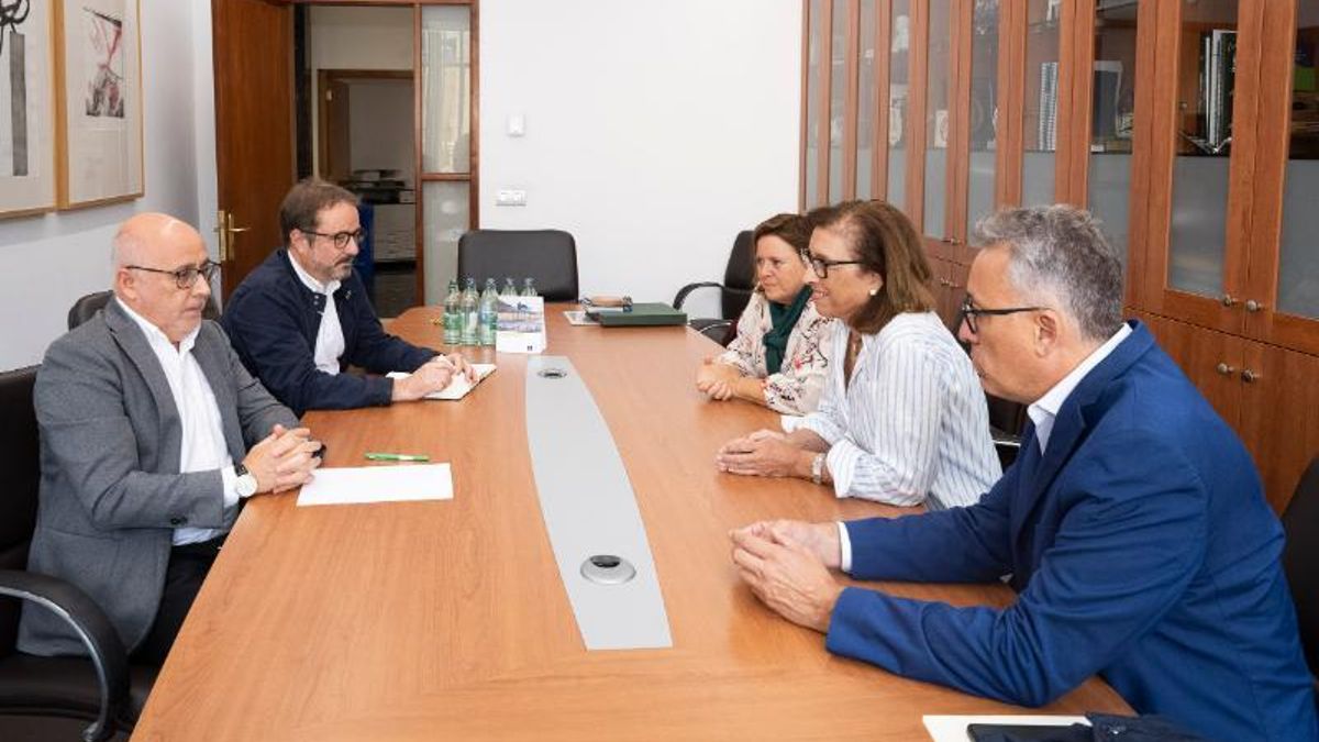 Imagen reunión Cabildo y platafomar ciudadana contra la planta de gas de Totisa en el Puerto de Las Palmas.