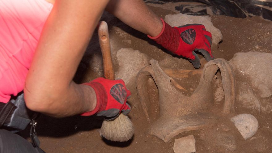 Yacimiento arqueológico del islote de Lobos