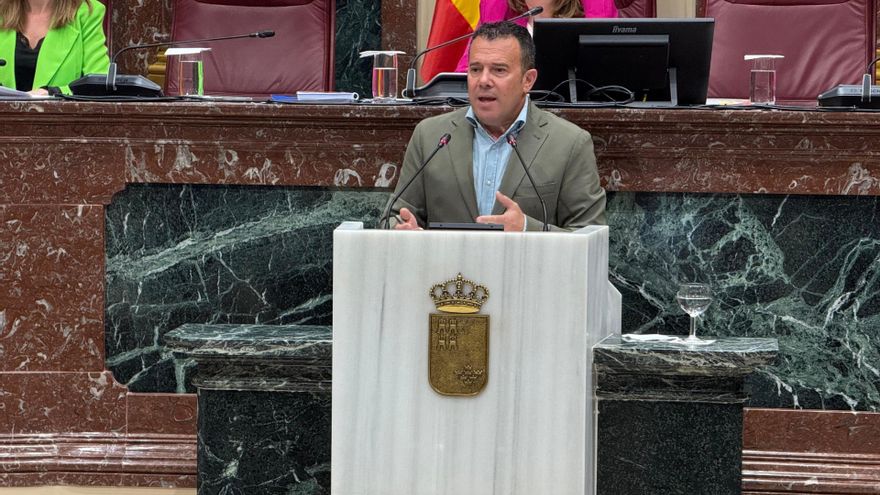 El diputado regional socialista Fernando Moreno