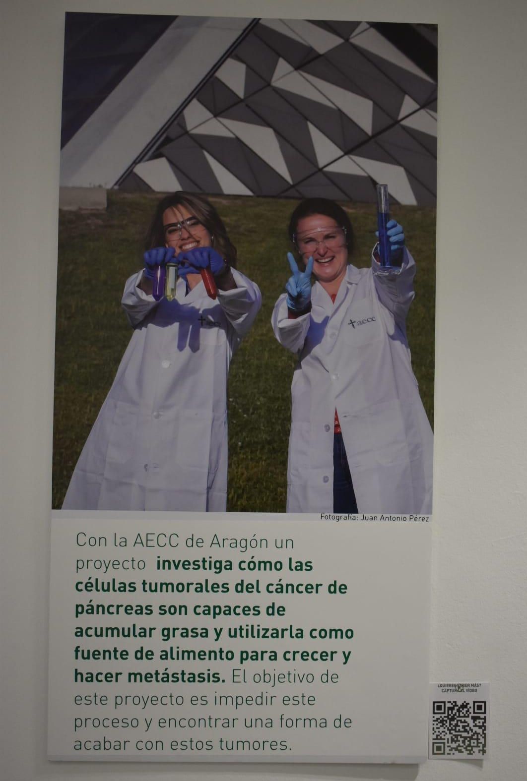Panel exposición ‘+Investigación, +Vida’