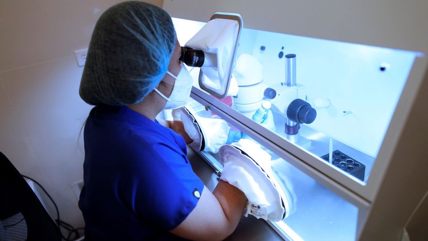 Fecundación in vitro, el método de reproducción asistida más demandado en Panamá