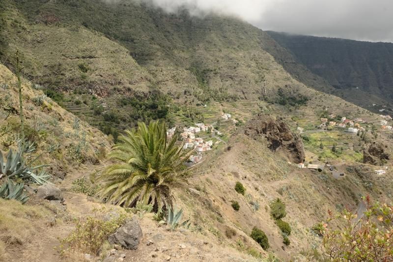 Camino de Guajilapa, que discurre desde la periferia de Garajonay hacia los caseríos del municipio de Hermigua, en el norte de La Gomera.