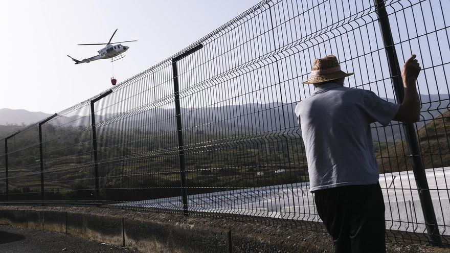 Las reproducciones se extienden dentro del perímetro del incendio de Tenerife