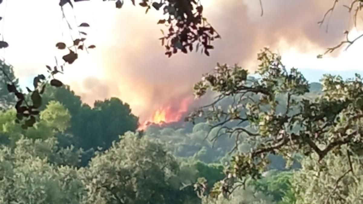 Declarado un incendio forestal en la sierra de Córdoba