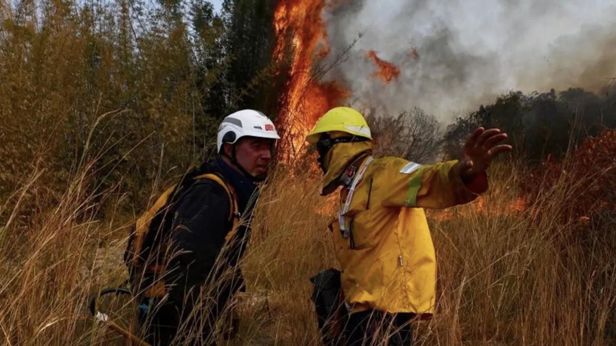 Día Internacional del Combatiente de Incendios Forestales: ¿por qué se celebra el 4 de mayo?