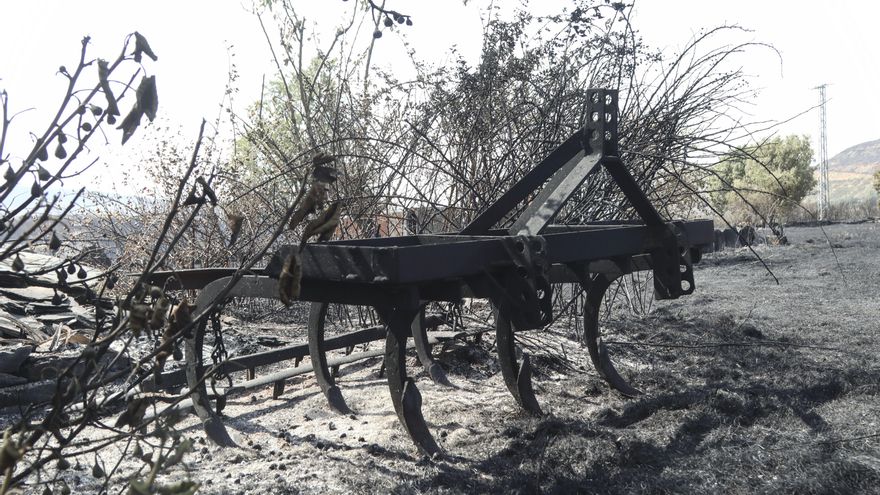 Detienen a un hombre por provocar un incendio que arrasó 4.000 hectáreas en Zamora