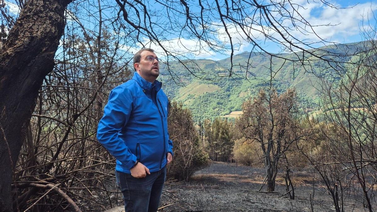 Barbón muestra su intención de reunirse con Buruaga para abordar la gestión de los incendios forestales
