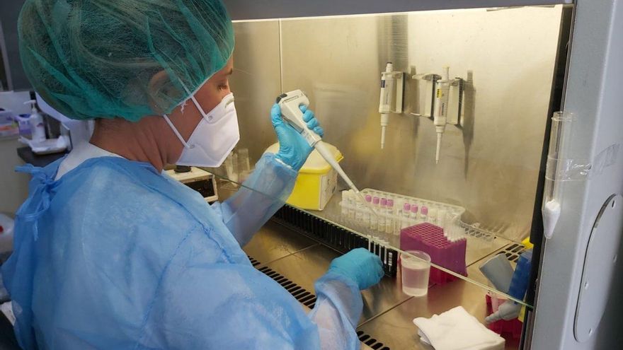 Canarias suma 81 nuevos casos de COVID-19 y dos muertes en las últimas 24 horas