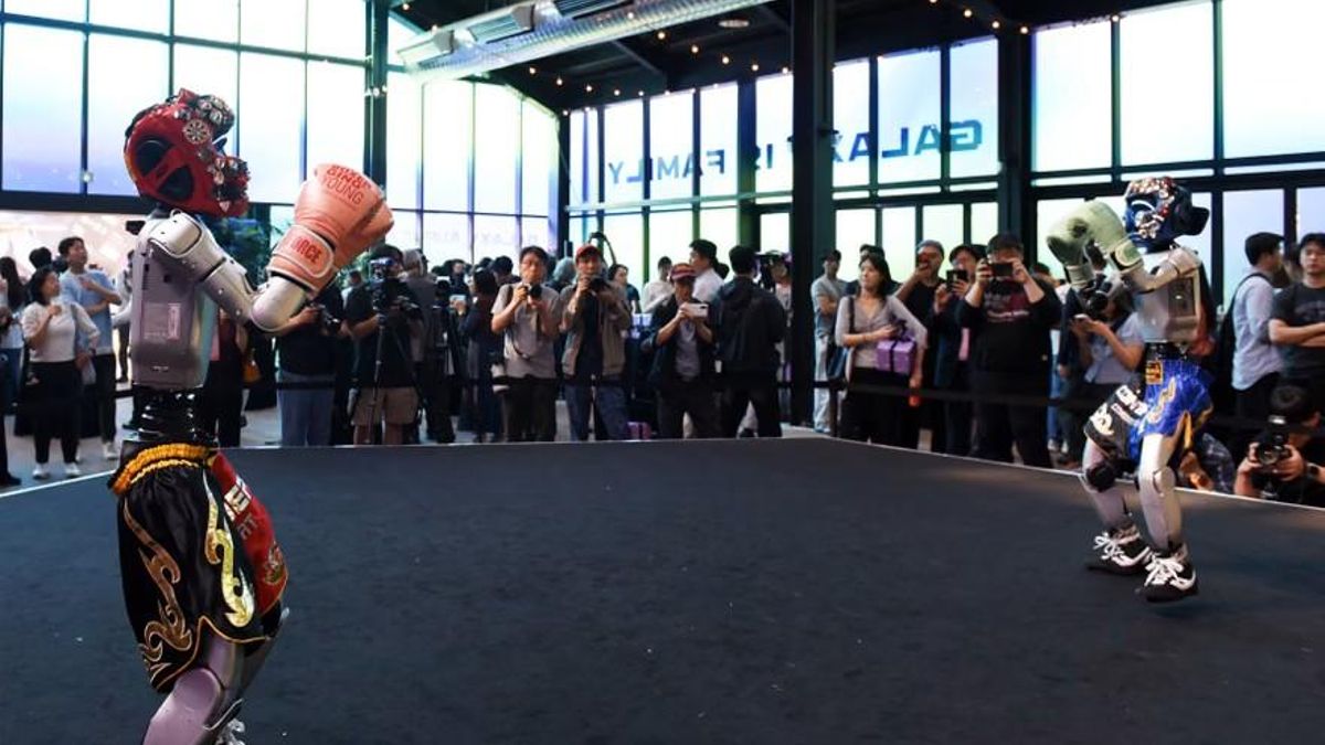 Los robots boxeadores entretienen al público.