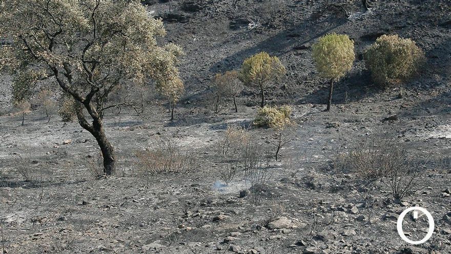 Más de uno al año y con el de 2007 en el recuerdo: la base de Cerro Muriano, el foco máximo de incendios en Córdoba