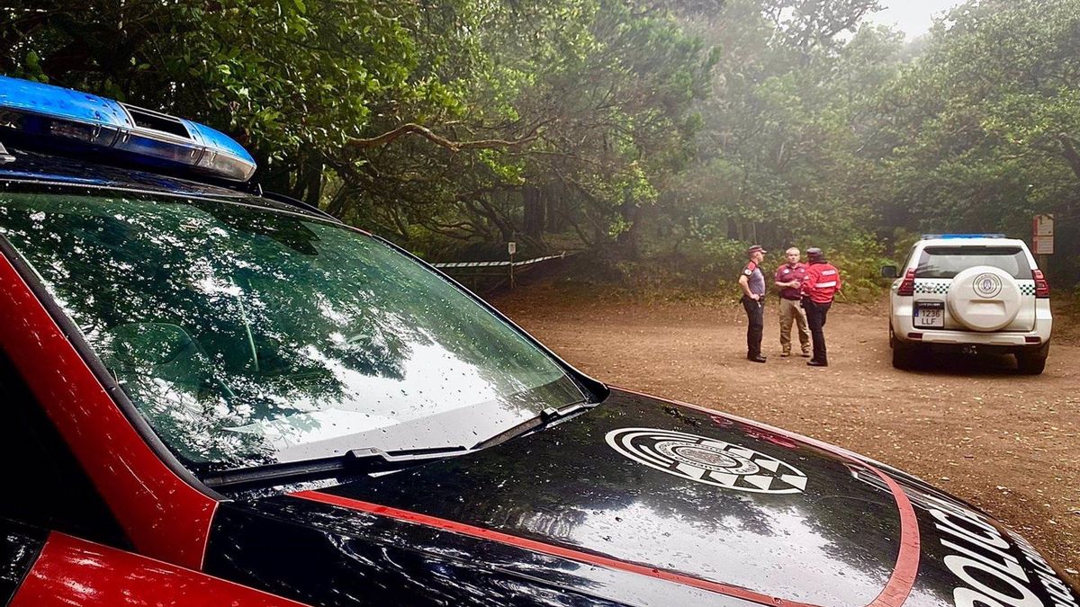 La Laguna aprueba instar al Cabildo y al Gobierno canario a limitar los coches de alquiler en Anaga