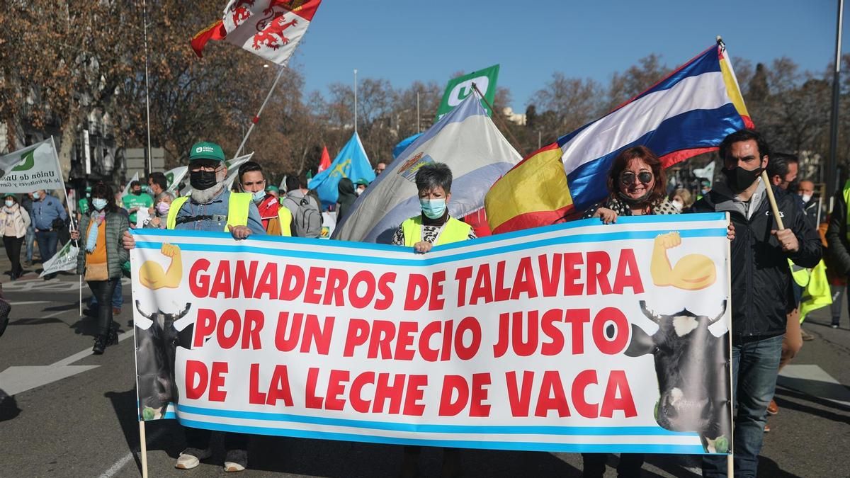 Un momento de la manifestación en Madrid. EUROPA PRESS