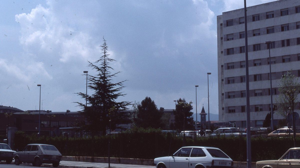 Fallecen dos jóvenes de 22 años, uno de Logroño y otro de Navarra, en un accidente en un pueblo de Álava