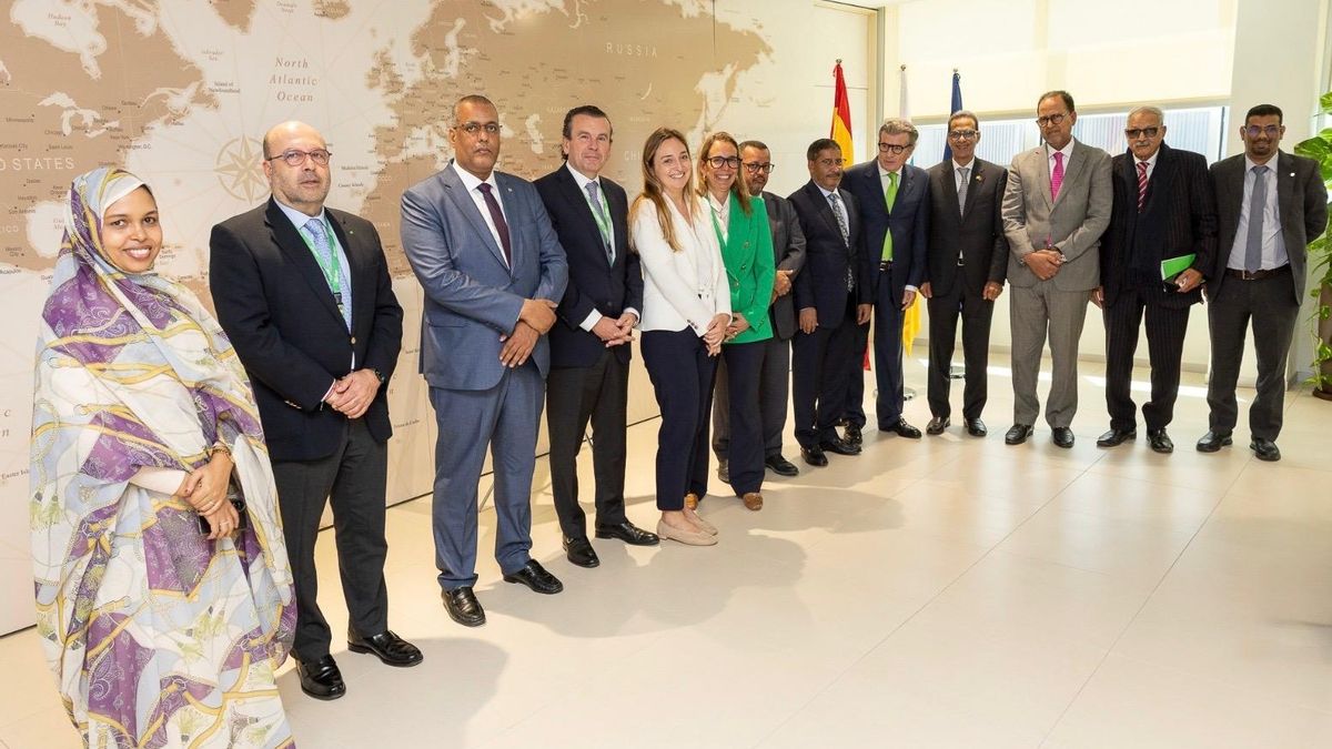 Binter y el Gobierno de Mauritania avanzan en nuevas vías de colaboración