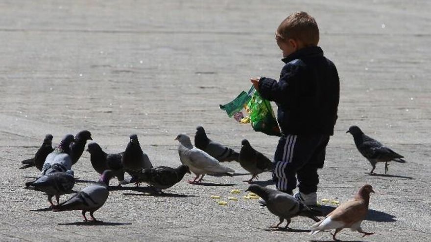 Foto César Sánchez / ICAL