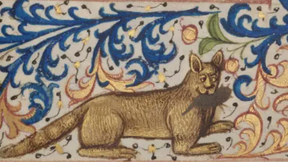 Los textos medievales los describían como cazadores indispensables para mantener limpios los hogares