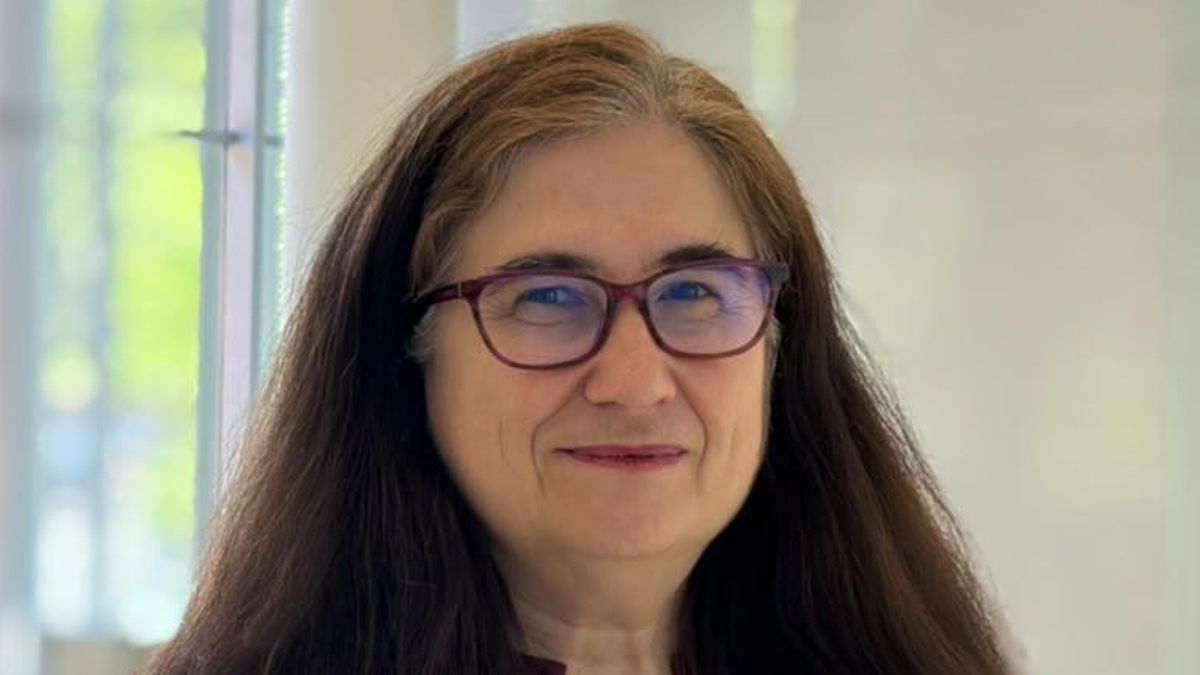 Inés Sánchez de Madariaga, investigadora: "Invertimos en autovías lo que debió ir a los cuidados"