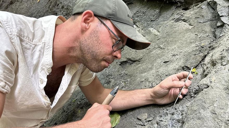 트란실바니아의 드라큘라가 전부는 아닙니다. 그들은 7,200만 년 전의 공룡 유적을 발견했습니다.