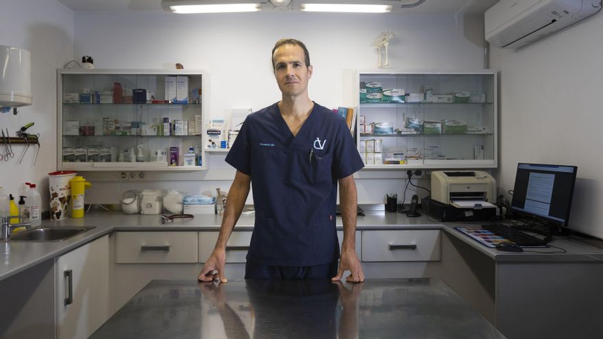 Fernando Mir, a la seva clínica