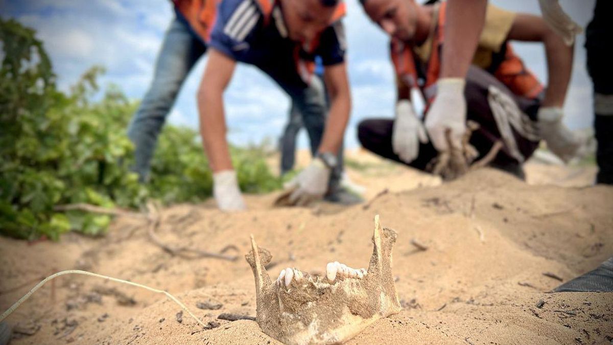 Miembros de la Defensa Civil de Gaza buscan restos humanos tras el alto el fuego