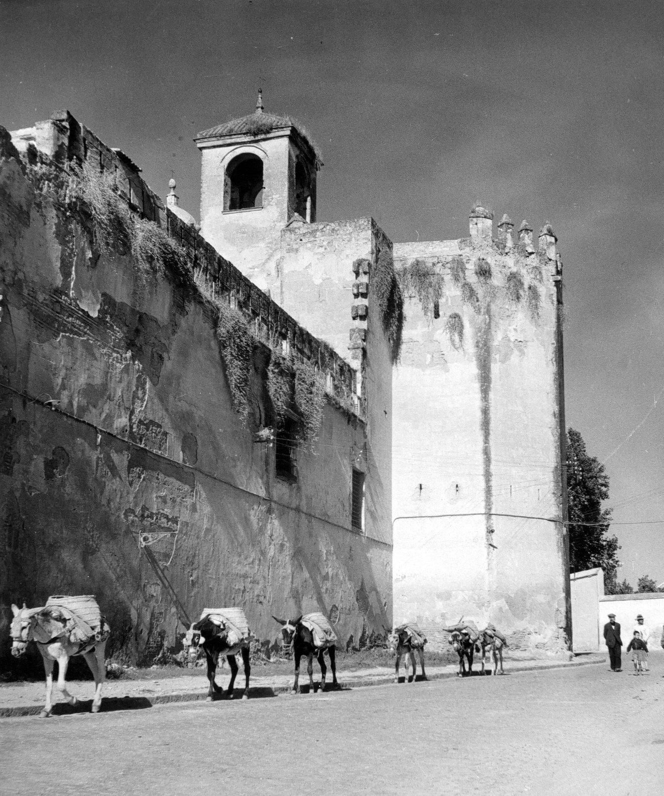 Las fotos que Erika Groth-Schmachtenberger tomó en la Córdoba de 1941