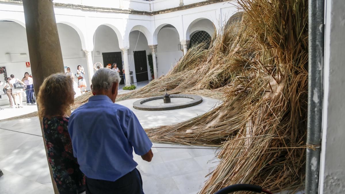 FLORA 2026 - Mas Rasa (Palacio de Orive)