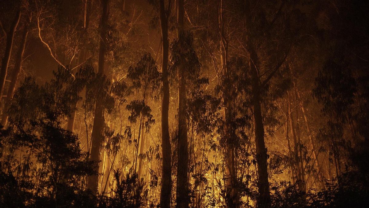 El fuego arrasa más de 152.000 hectáreas en España, seis veces más que el año pasado a estas fechas