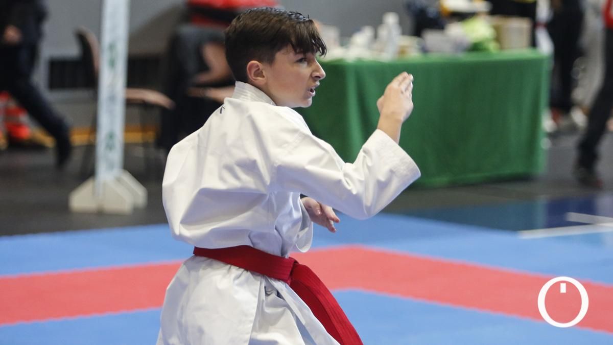 Campeonato de Andalucía Infantil y Juvenil de kárate