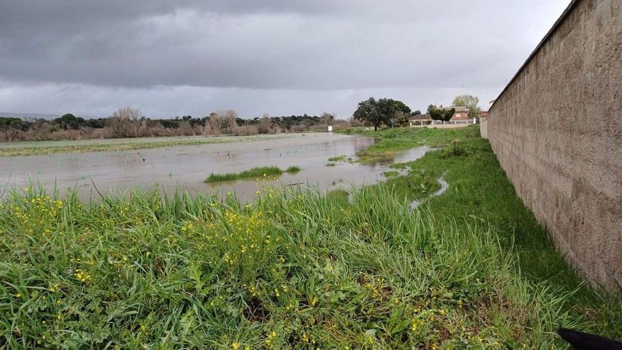 Desalojadas unas 200 viviendas en Santa Cruz de Retamar de manera preventiva por la crecida del río Alberche