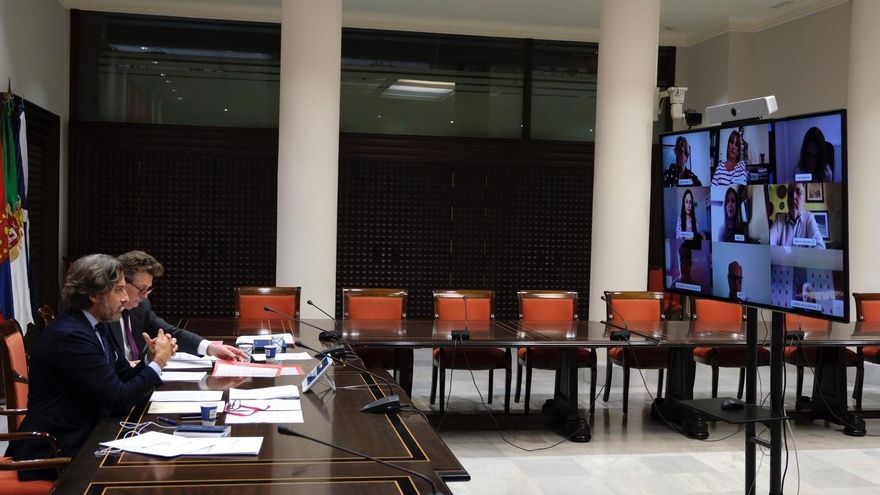 El presidente del Parlamento, Gustavo Matos durante una reunión por videoconferencia