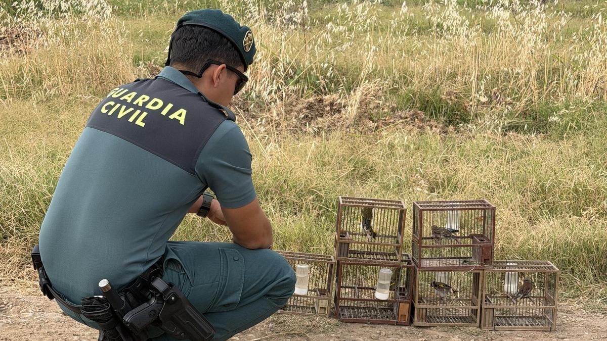 La Guardia Civil investiga a un hombre que huyó tras ser sorprendido con una red de caza ilegal de aves