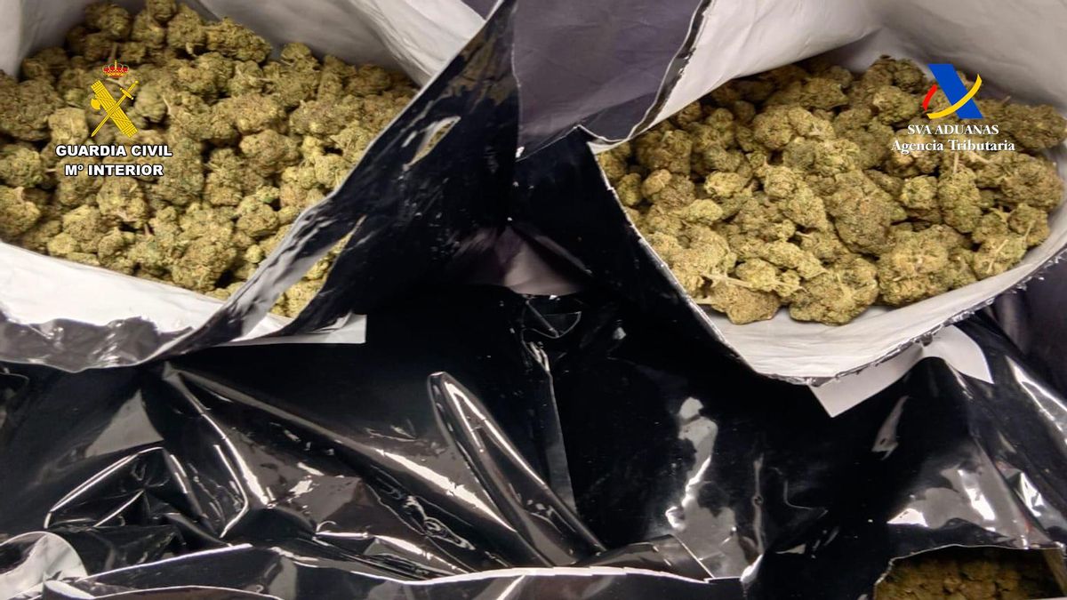 Marihuana descubierta en el equipaje del detenido.