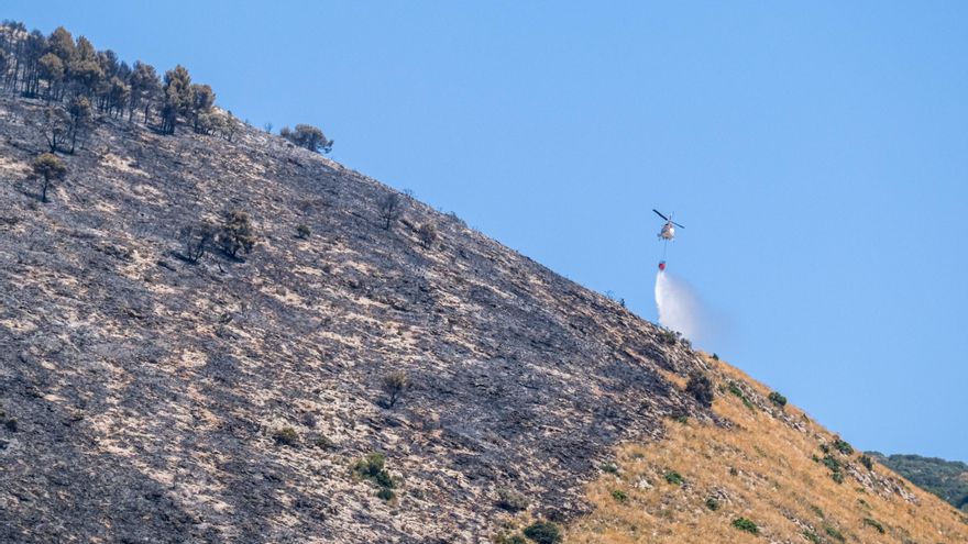 Buena evolución del incendio de Ibi (Alicante), ya sin llamas aunque se teme por el viento